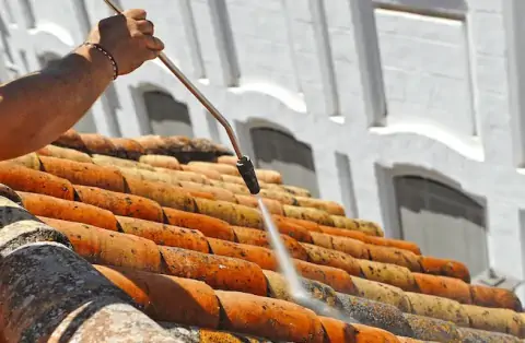 Nettoyage de toitures - Échirolles